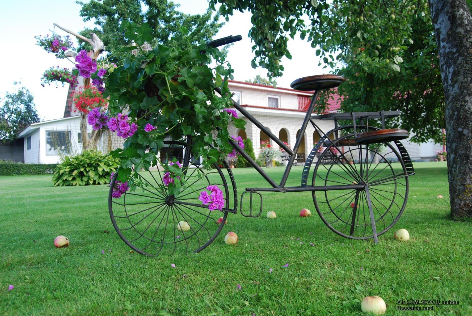 Stasio Balseviciaus Homestead Raudonė Exterior foto
